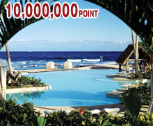 10,000,000P (１千万ポイント) 「プライベートジェットで行くハワイ10日間の旅 4名様分」